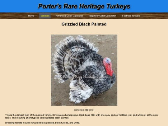 GrizzledBlackPainted screenshot