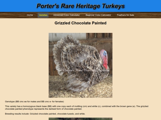 GrizzledChocolatePainted screenshot