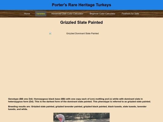 GrizzledDominantSlatePainted screenshot