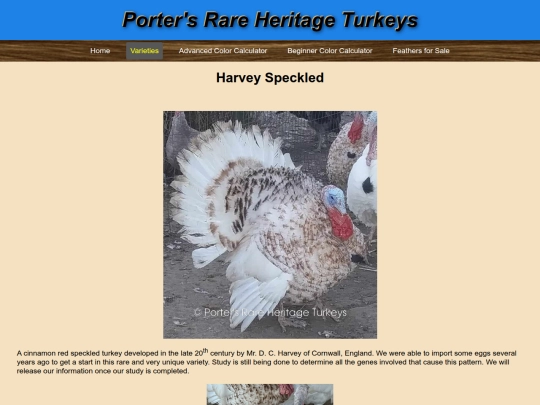 HarveySpeckled screenshot