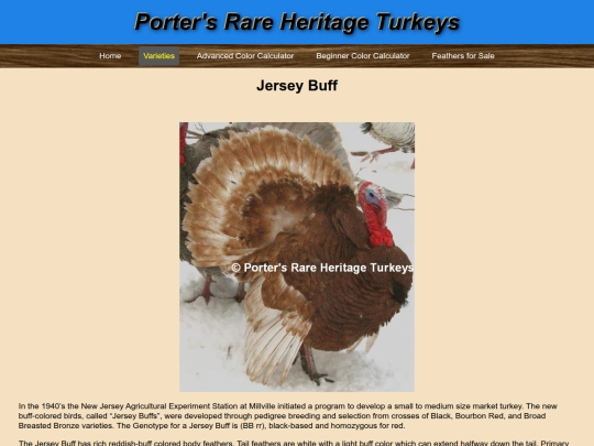 JerseyBuff screenshot