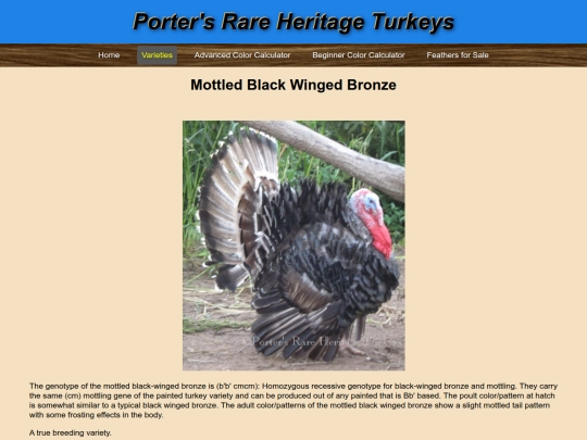 MottledBlackWingedBronze screenshot