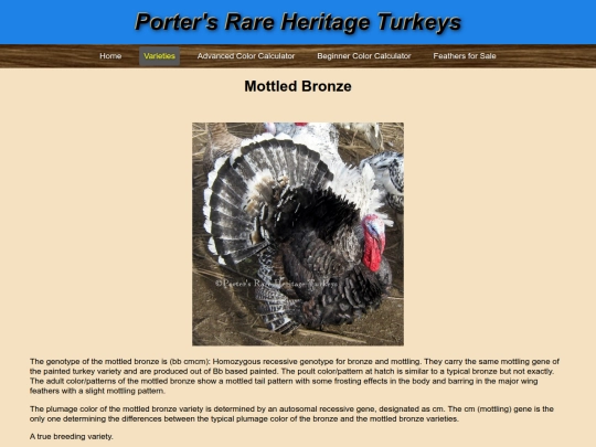 MottledBronze screenshot