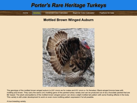 MottledBrownWingedAuburn screenshot
