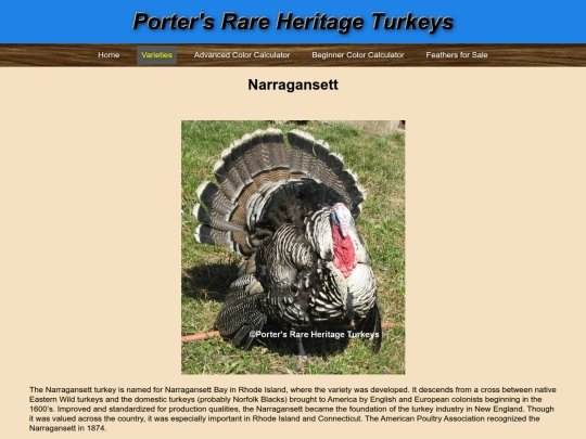 Narragansett screenshot