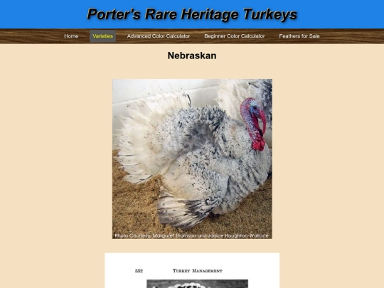Nebraskan screenshot