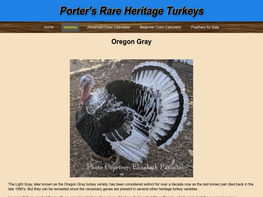 OregonGray screenshot