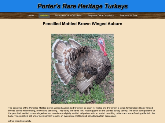 PencilledMottledBrownWingedAuburn screenshot