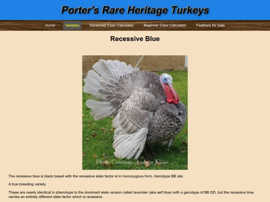 RecessiveBlue screenshot