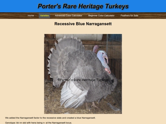 RecessiveBlueNarragansett screenshot