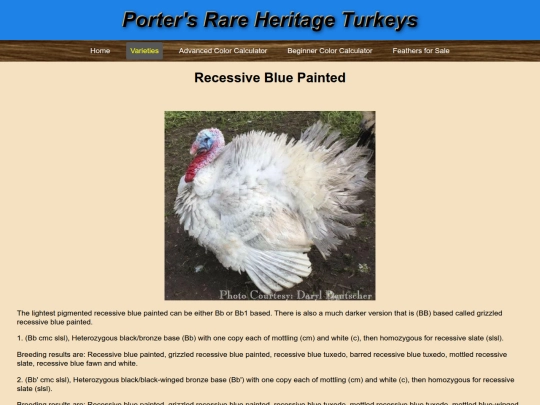 RecessiveBluePainted screenshot