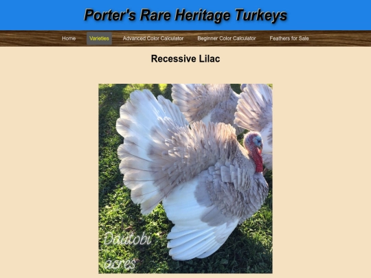 RecessiveLilac screenshot