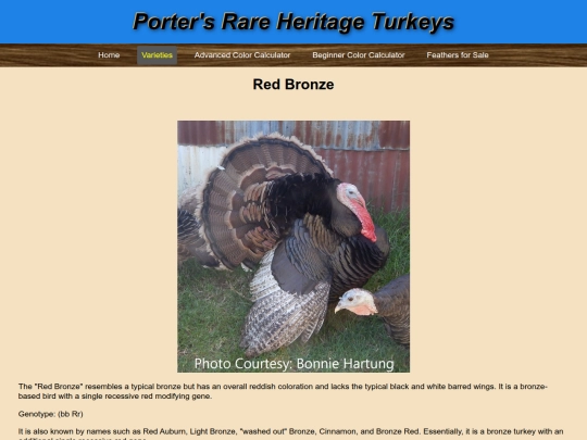 RedBronze screenshot