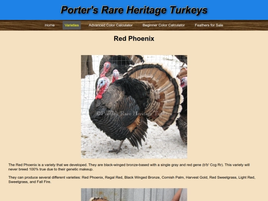 RedPhoenix screenshot