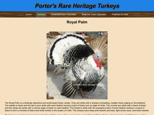 RoyalPalm screenshot