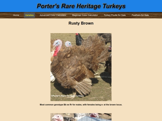 RustyBrown screenshot