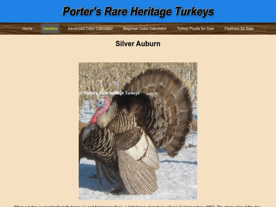 SilverAuburn screenshot
