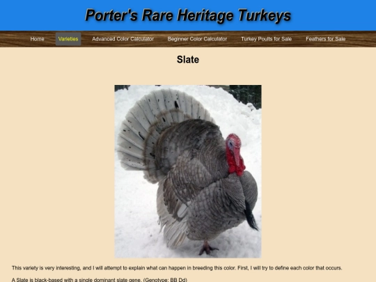 Slate screenshot