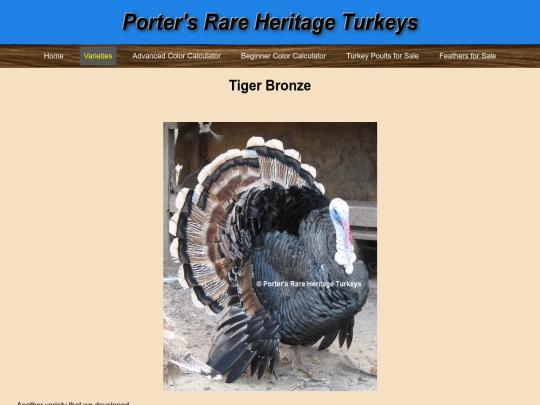 TigerBronze screenshot