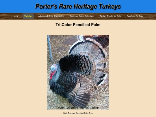 Tri-colorPencilledPalm screenshot