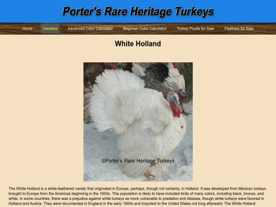 WhiteHolland screenshot