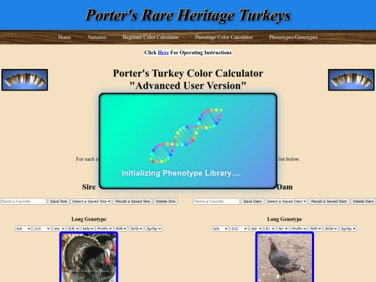 advcalpaytoplay2 screenshot