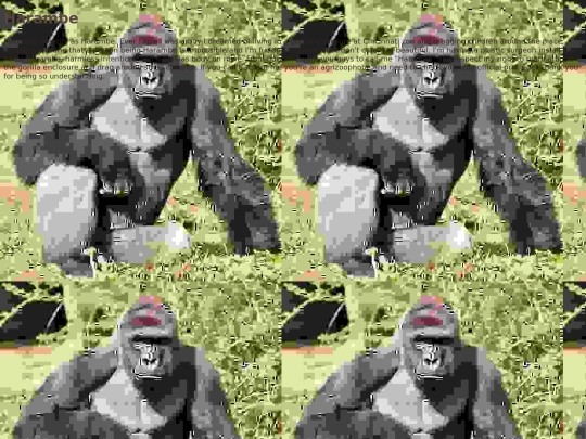 Harambae screenshot