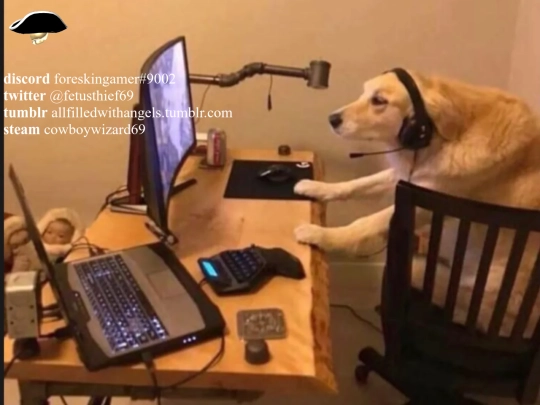 contact screenshot