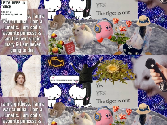 pages/contact screenshot