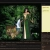 truly-tranquil.neocities.org avatar