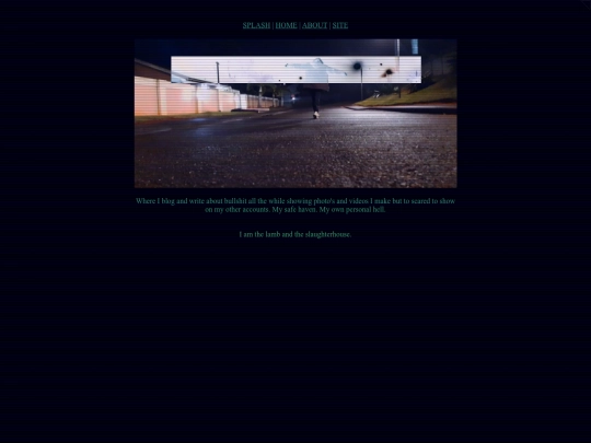 site screenshot