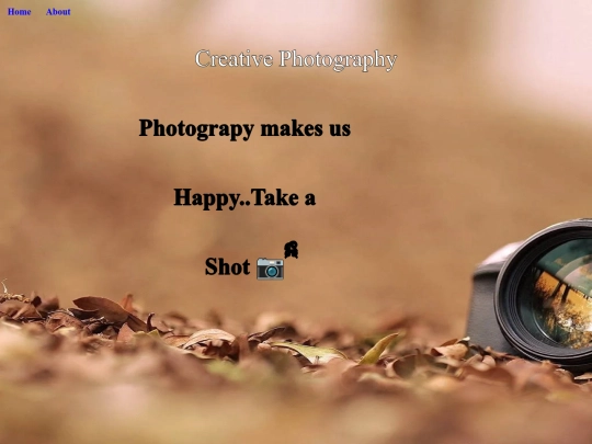 Viji/Basics/Task 6 Photography Website/Home screenshot