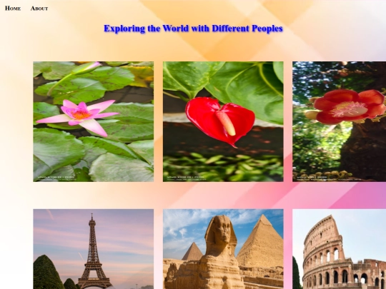 Viji/Basics/Task 6 Photography Website/Travel screenshot