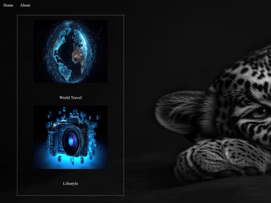 Viji/Basics/Task 6 Photography Website/home task screenshot