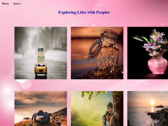 Viji/Basics/Task 6 Photography Website/ins screenshot