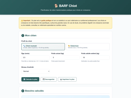 Qwen_html_20260817_xdlztazcl screenshot