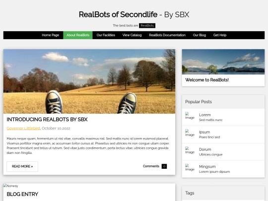 brands/realbots/about screenshot
