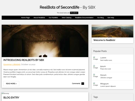 brands/realbots/blog screenshot