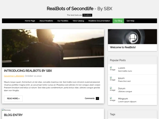 brands/realbots/docs screenshot