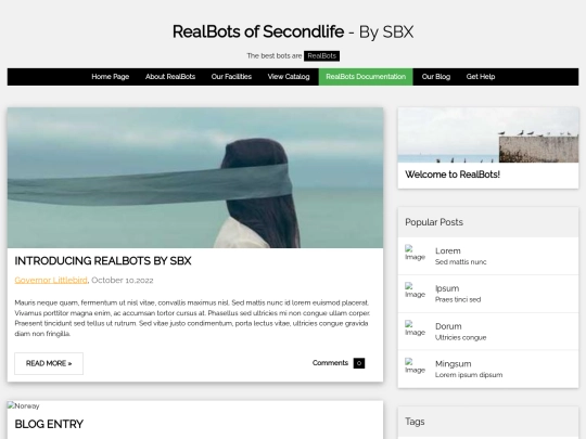 brands/realbots/docs screenshot