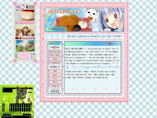 media screenshot