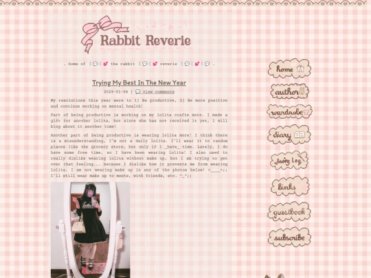 page/19/diary screenshot