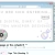 kitten-whisper-designs.neocities.org avatar
