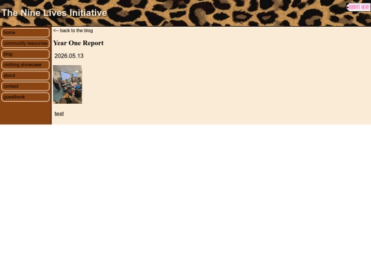 blog.posts/year.one.report screenshot