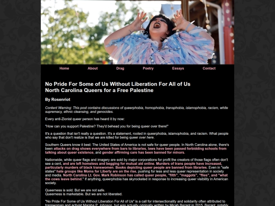 essays/queersforpalestine screenshot