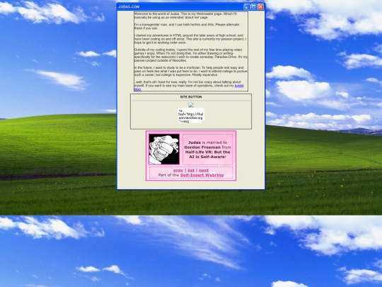 WEBMASTER screenshot
