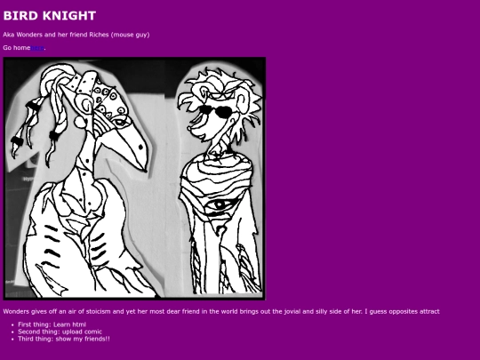 birdknight screenshot