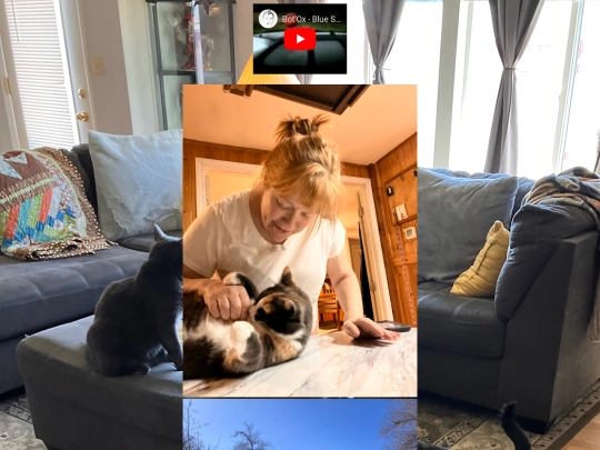backhome screenshot