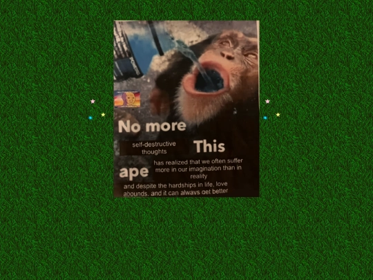 thisape screenshot