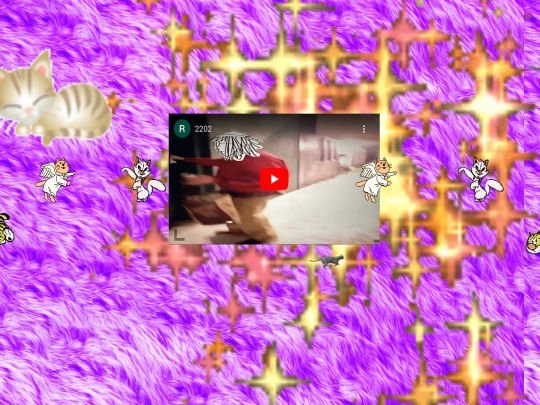video screenshot